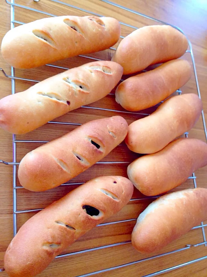 クランベリーとくるみとチョコチップのソフトフランスパン🍞&ソフトフランスパンに明太子マヨと練乳ブルーベリーとソーセージサンドの3種を挟みました♡|pigmegさん