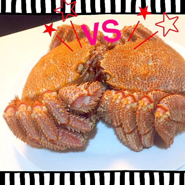 毛ガニ🦀🦀！！|♡🍴Ⓜ︎Å®ℹ︎mama🍴♡さん