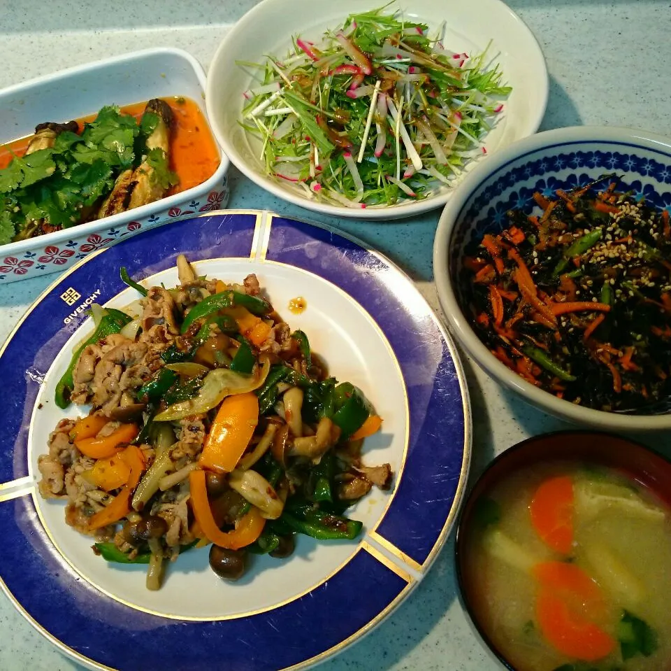 豚肉と野菜のタイバジル炒め、ひじき煮、水菜と赤大根の紫蘇サラダ、ナスのナンプラーマリネ、小松菜と大根の味噌汁|rokochixxx666さん