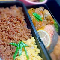 弁当１(そぼろ弁当)|みかんさん