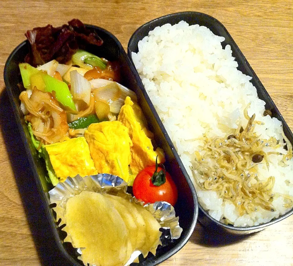 今日のお弁当 2月9日（火）|まきしゅさん