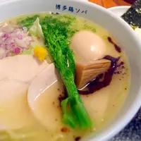 Snapdishの料理写真:鳥白湯ラーメン|もとゆきさん