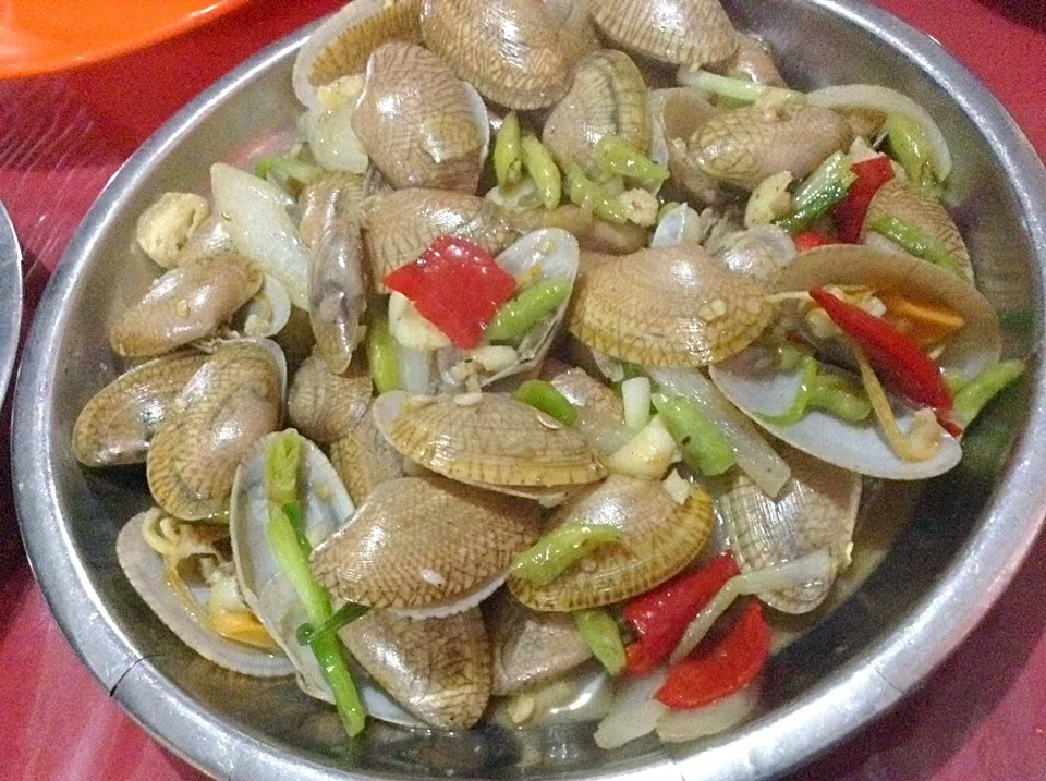 Kerang Lombok|Bambang Budiono Tjioさん