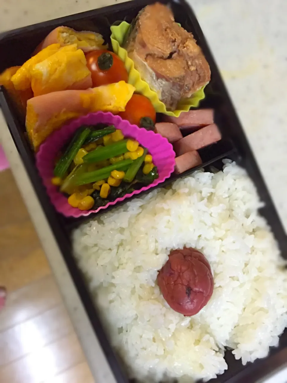 Snapdishの料理写真:彼氏 のお弁当|つぅたんさん