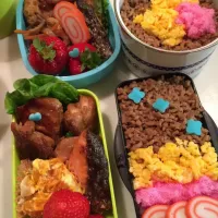 Snapdishの料理写真:今日のお弁当|まなんさん