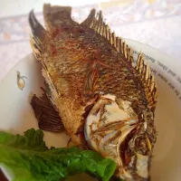 Snapdishの料理写真:fried tilapia:)|tierra.janice@yahoo.comさん