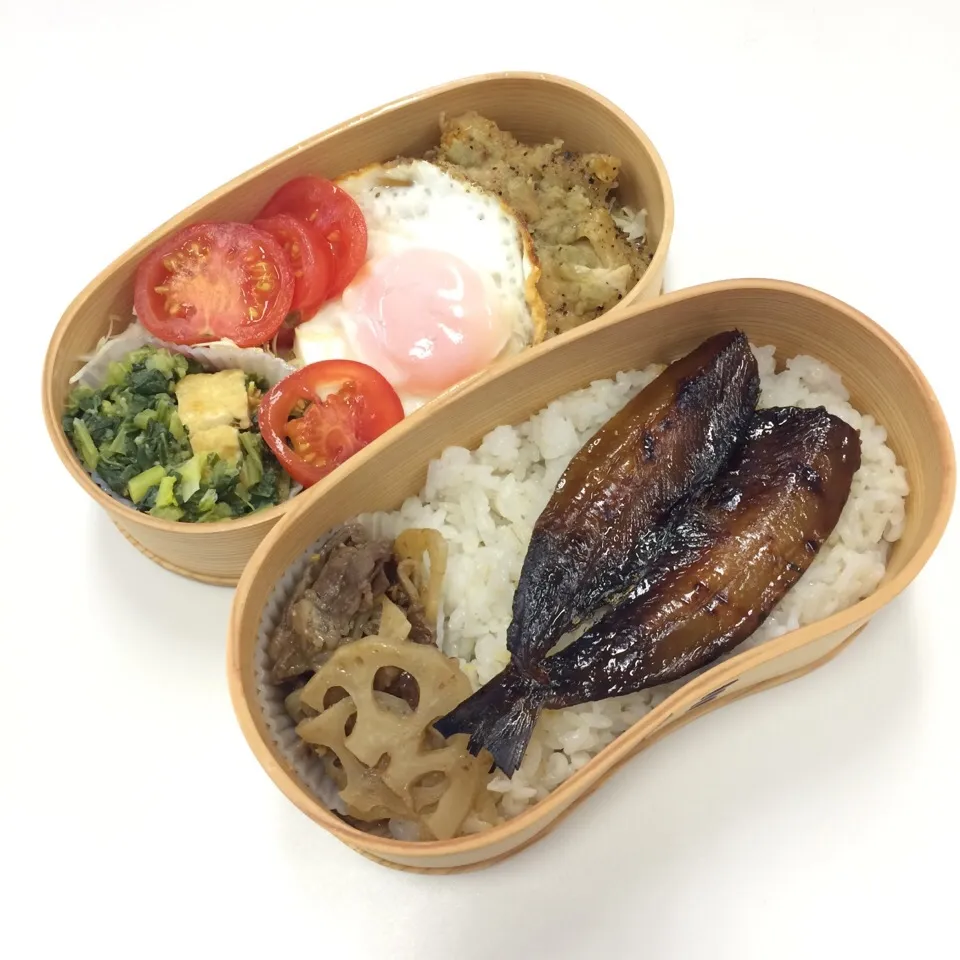 弁当（鶏肉柚子胡椒焼き、目玉焼き、畑菜からし和え、トマト、イワシ味醂干し、牛肉レンコンきんぴら）|SasaMasa213さん