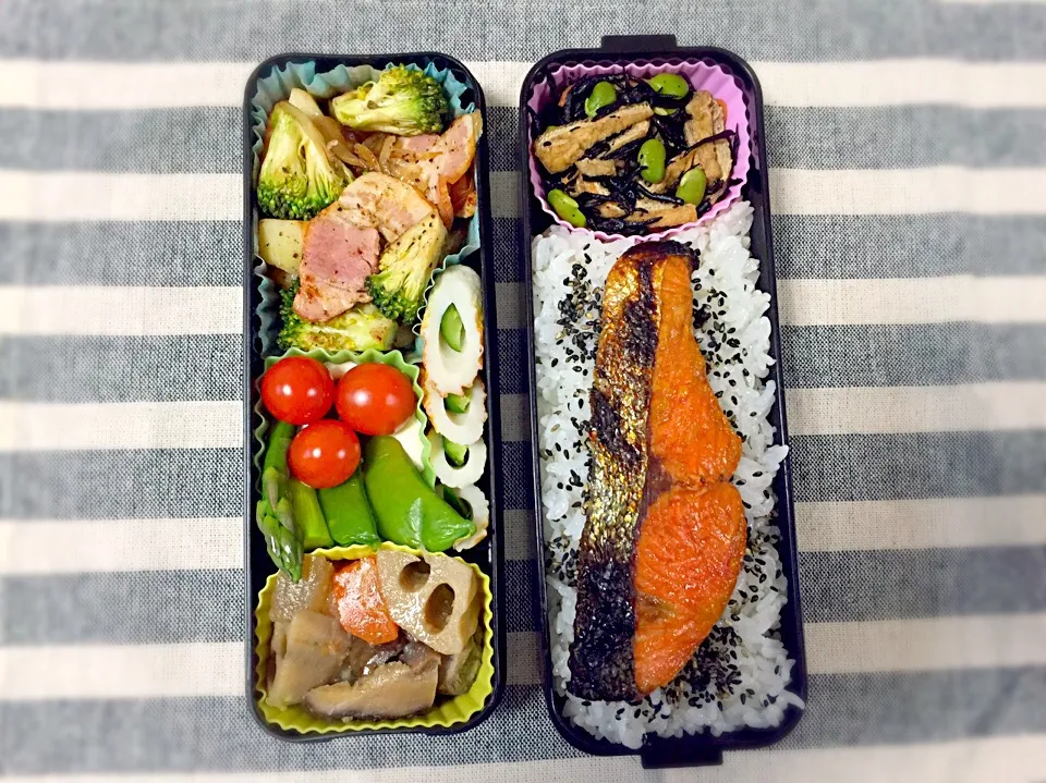 しゃけ弁当。|ももみにゃん。さん