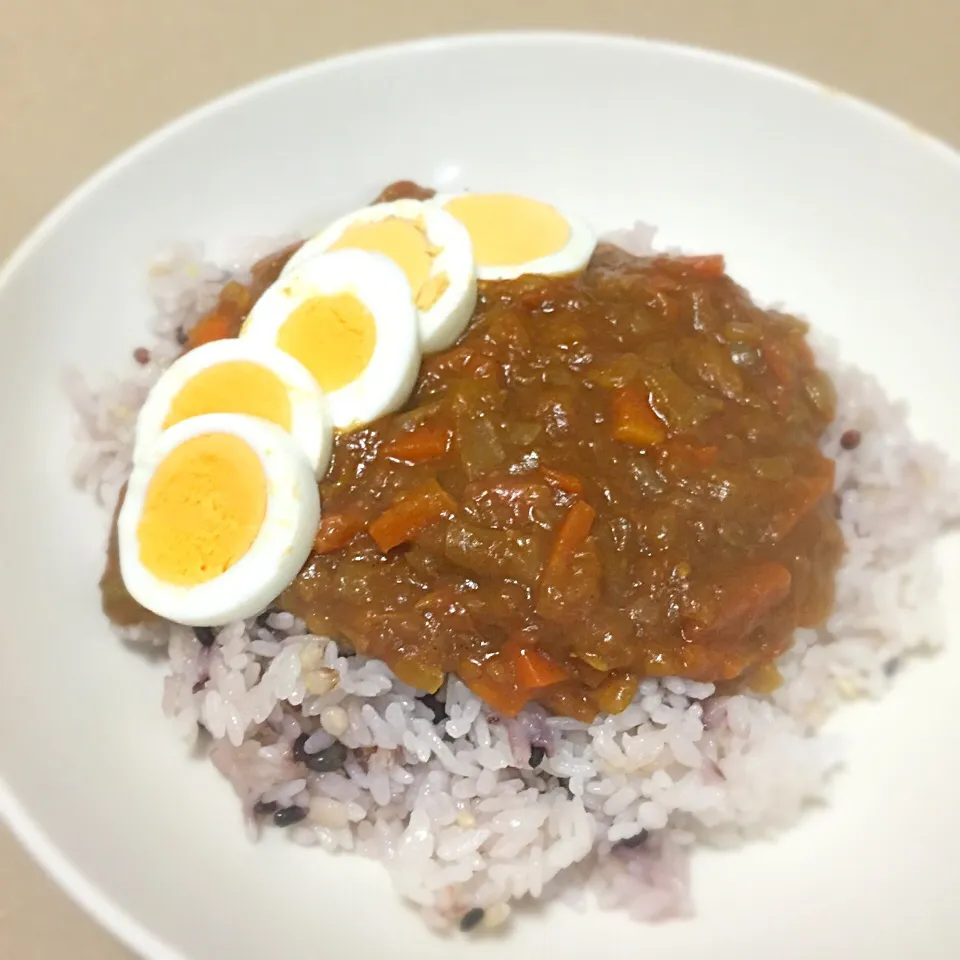 トマト、リンゴをベースに野菜たっぷりの甘さと酸味を味わう無水カレーを作りました(^-^)/|ギムレットさん