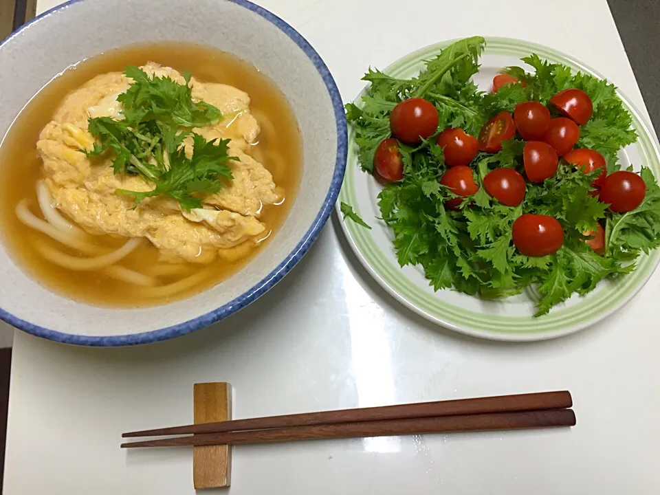 ふんわり卵乗せうどん、サラダ|utayataさん