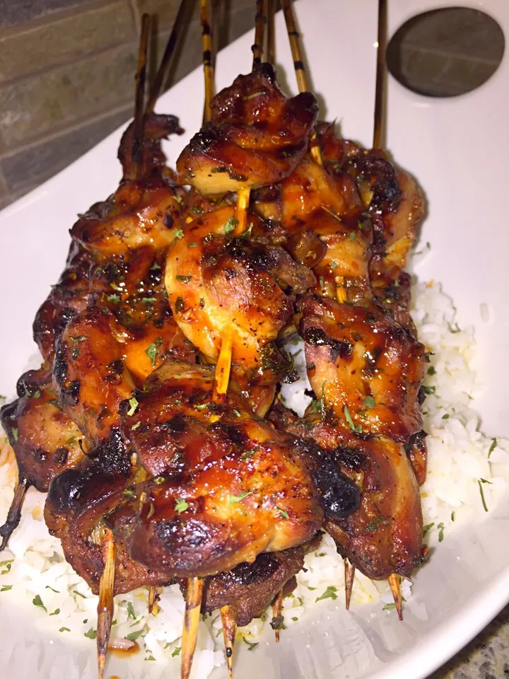 Chili marinated chicken kabob and rice|bnwill05さん