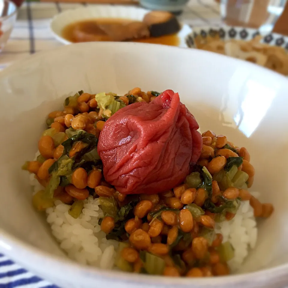 Snapdishの料理写真:今日のお昼ごはん☆納豆どーん！|あさこさん