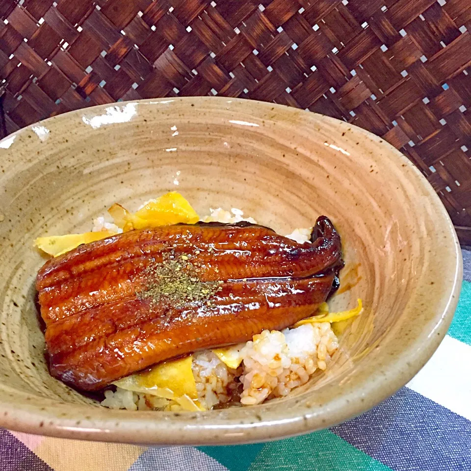 うな丼|スカポンタスさん