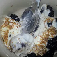 #blackberries #OrganicYogurt #GroundFlaxseeds|Dawn Nelsonさん