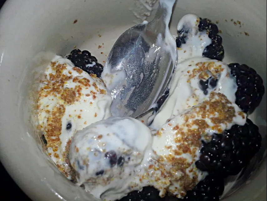 #blackberries #OrganicYogurt #GroundFlaxseeds|Dawn Nelsonさん