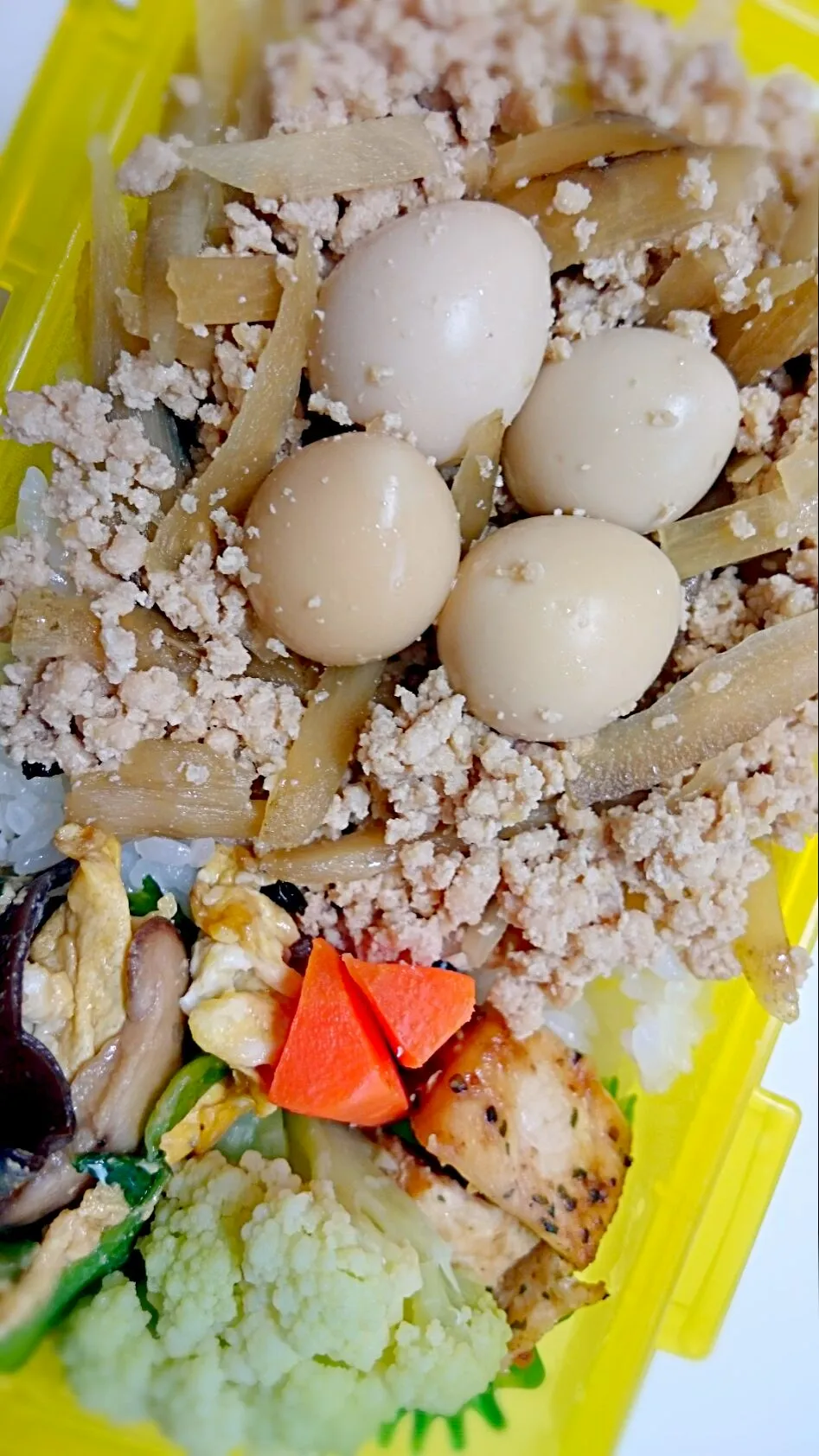 Snapdishの料理写真:巣籠もり弁当:鶏そぼろとごぼう、うずらの卵を一緒に味つけでお手軽ボリーム満天ヘルシー弁当です。 カジキハーブソテー、キクラゲとチンゲン菜オイスター炒めを添えて。|Nonさん