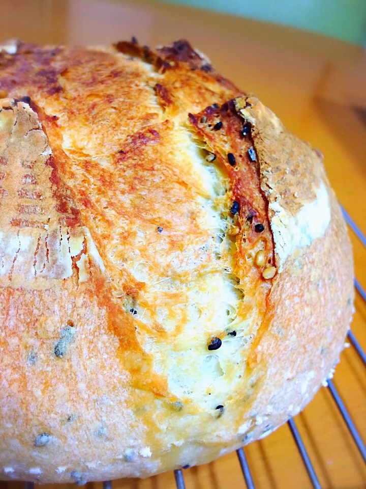 ヨーグルト酵母でチェダーチーズと胡麻のカンパーニュ🍞|SAORIさん