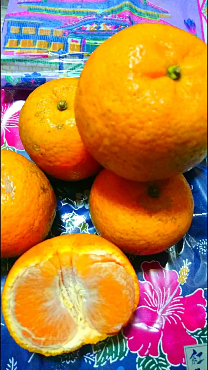 たんかん🍊頂きました❗
酸っぱいイメージでしたが、甘くて美味しかったです😉👍🎶 友人に大感謝💕💕💕|メイメイda.さん