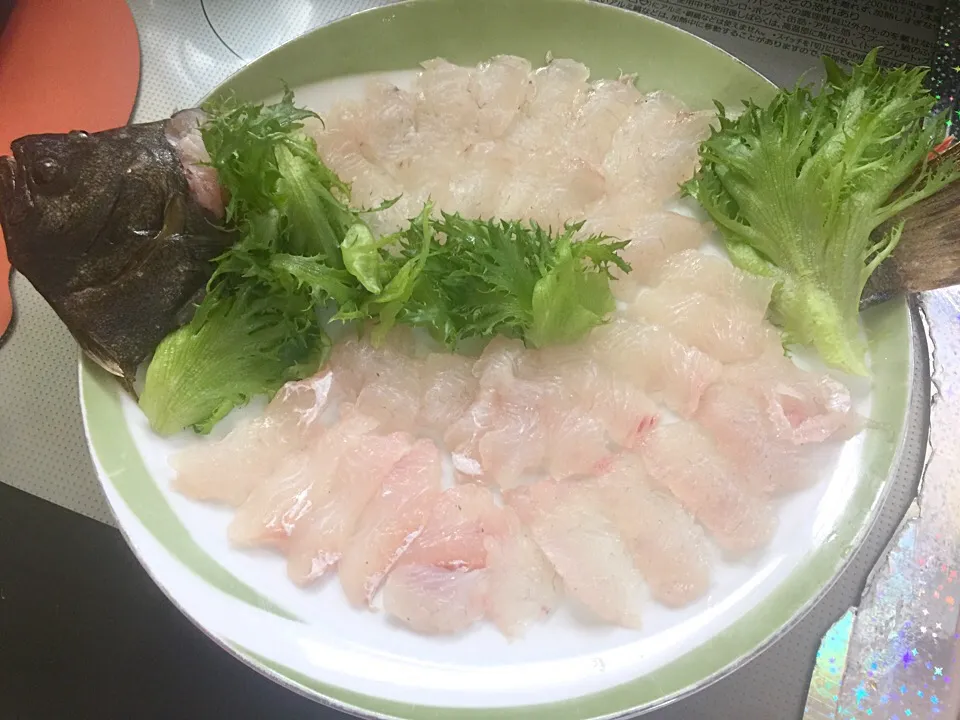 有明海の地物ヒラメのお造り|さくたろうさん