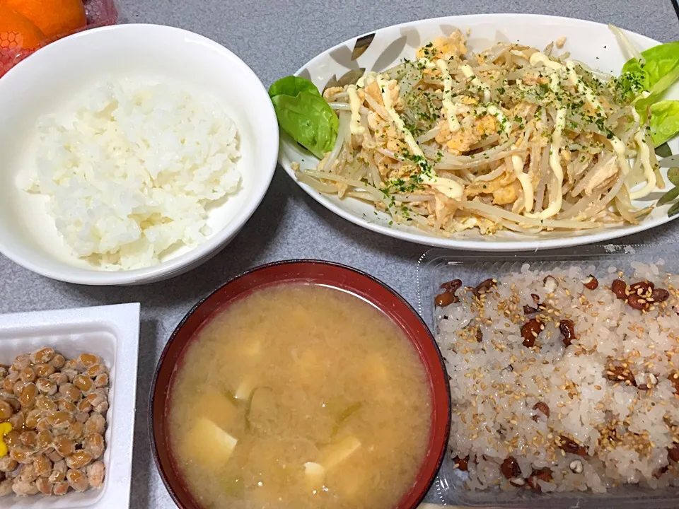 赤飯、白米、豆腐ネギ味噌汁、モヤシ玉子炒め(マヨかけ) 、納豆|ms903さん