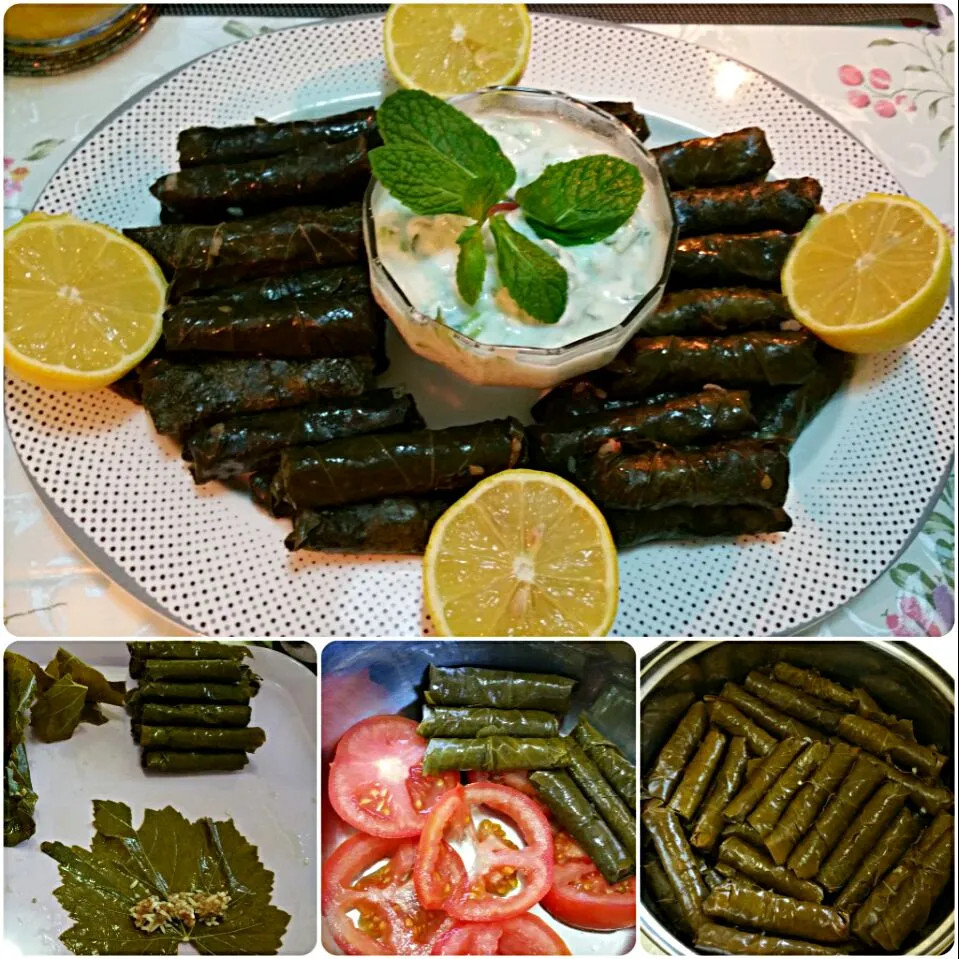 Snapdishの料理写真:arabian cuisine..Dawali (stuffed grape leaves)|Jihanさん