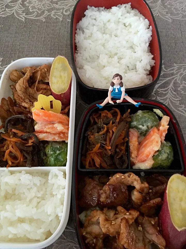 Snapdishの料理写真:2/16 お弁当|oyatyan❤️さん