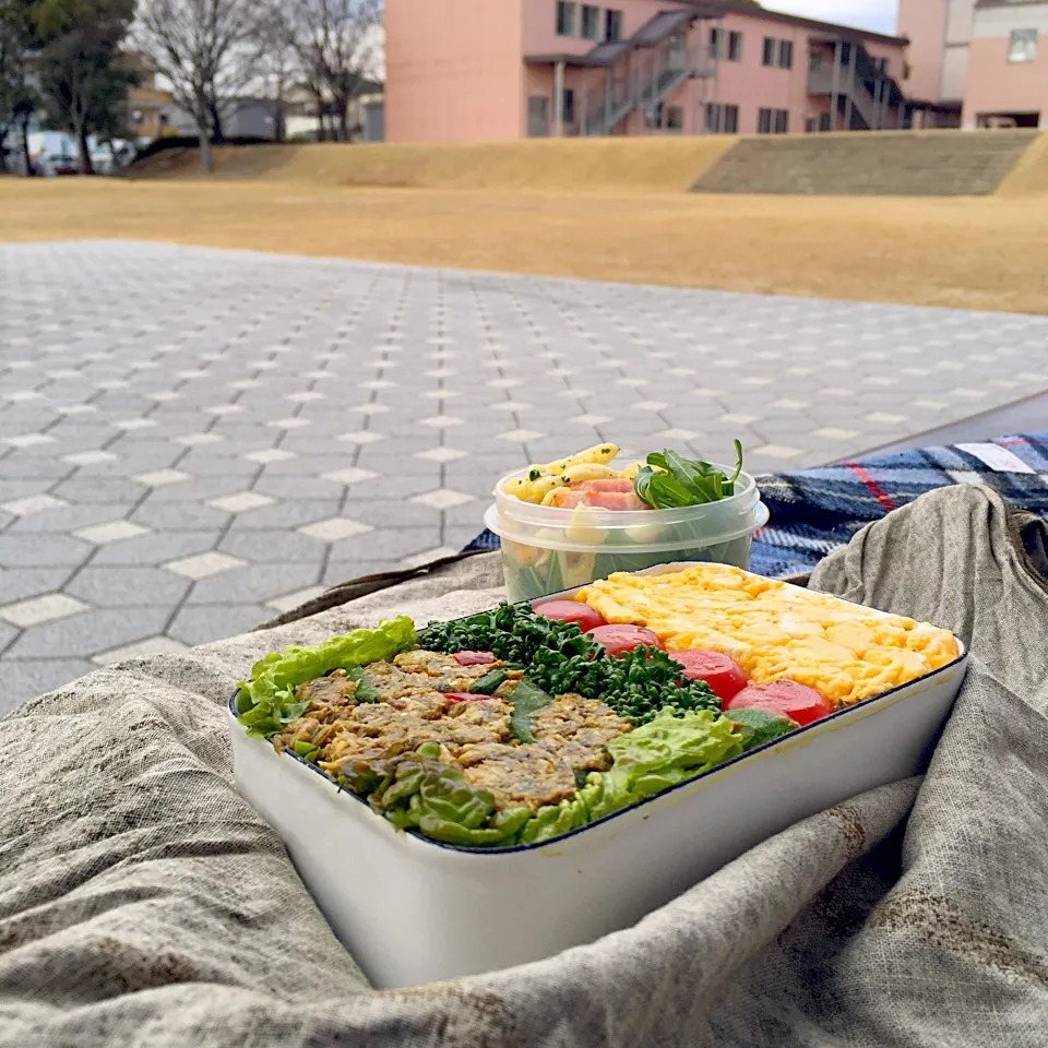 ピクニック・ランチ♬ (▰˘◡˘▰)☝︎|Yoshinobu Nakagawaさん