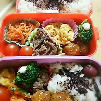 Snapdishの料理写真:お弁当🍱|Erina Tsuchiyaさん