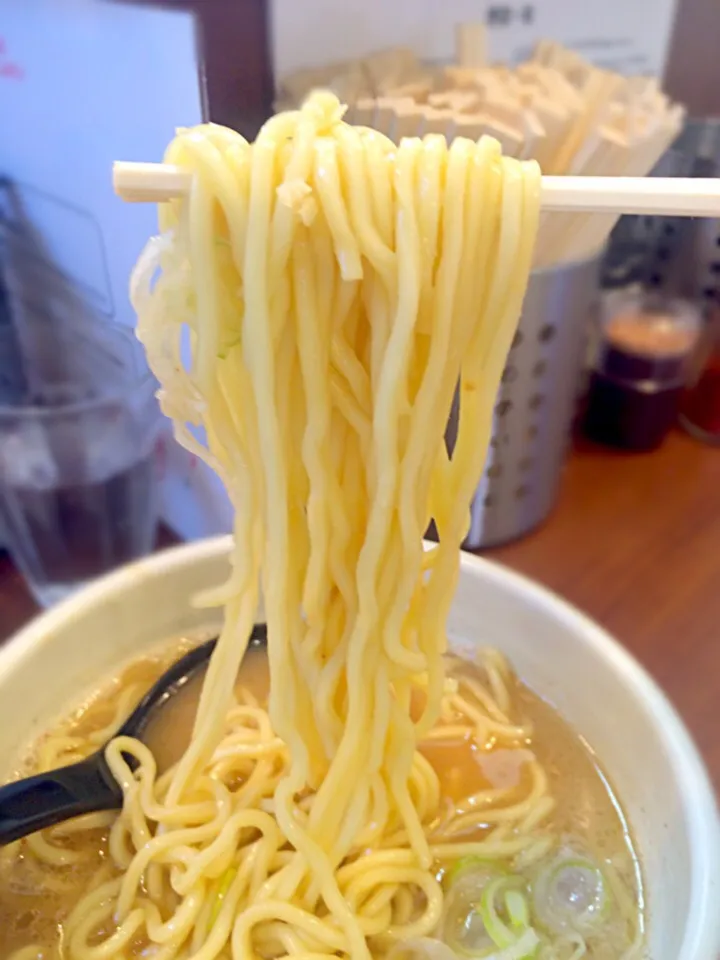 Snapdishの料理写真:あっさりらーめんの麺@麺処 一笑|morimi32さん