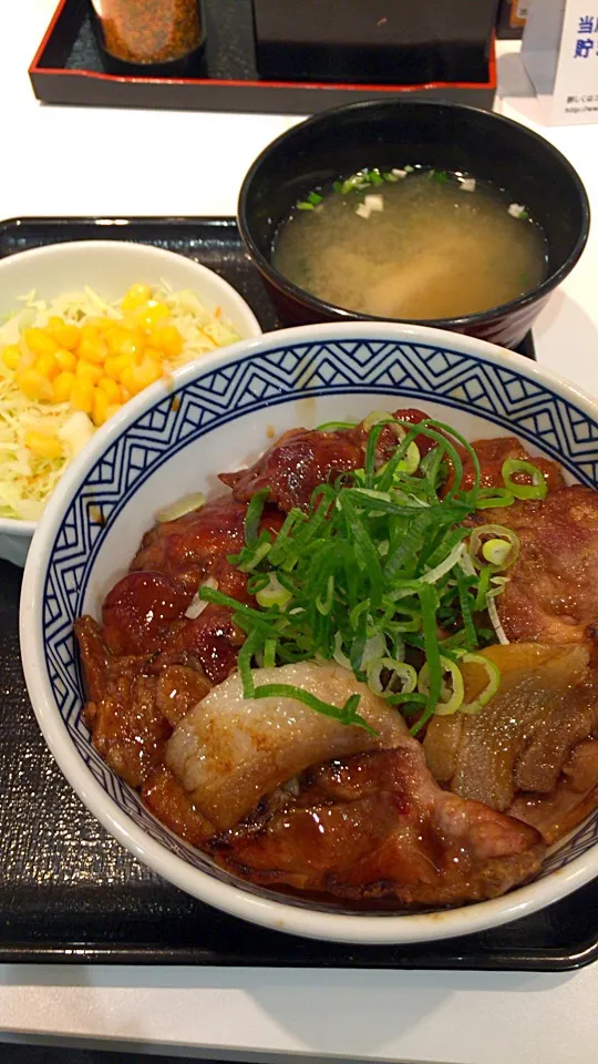 Snapdishの料理写真:豚丼 サラダセット|るみおんさん