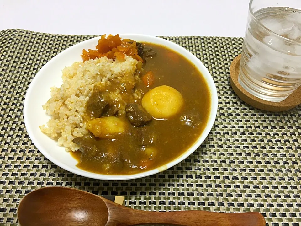 玄米ご飯&ビーフカレー|みっちさん