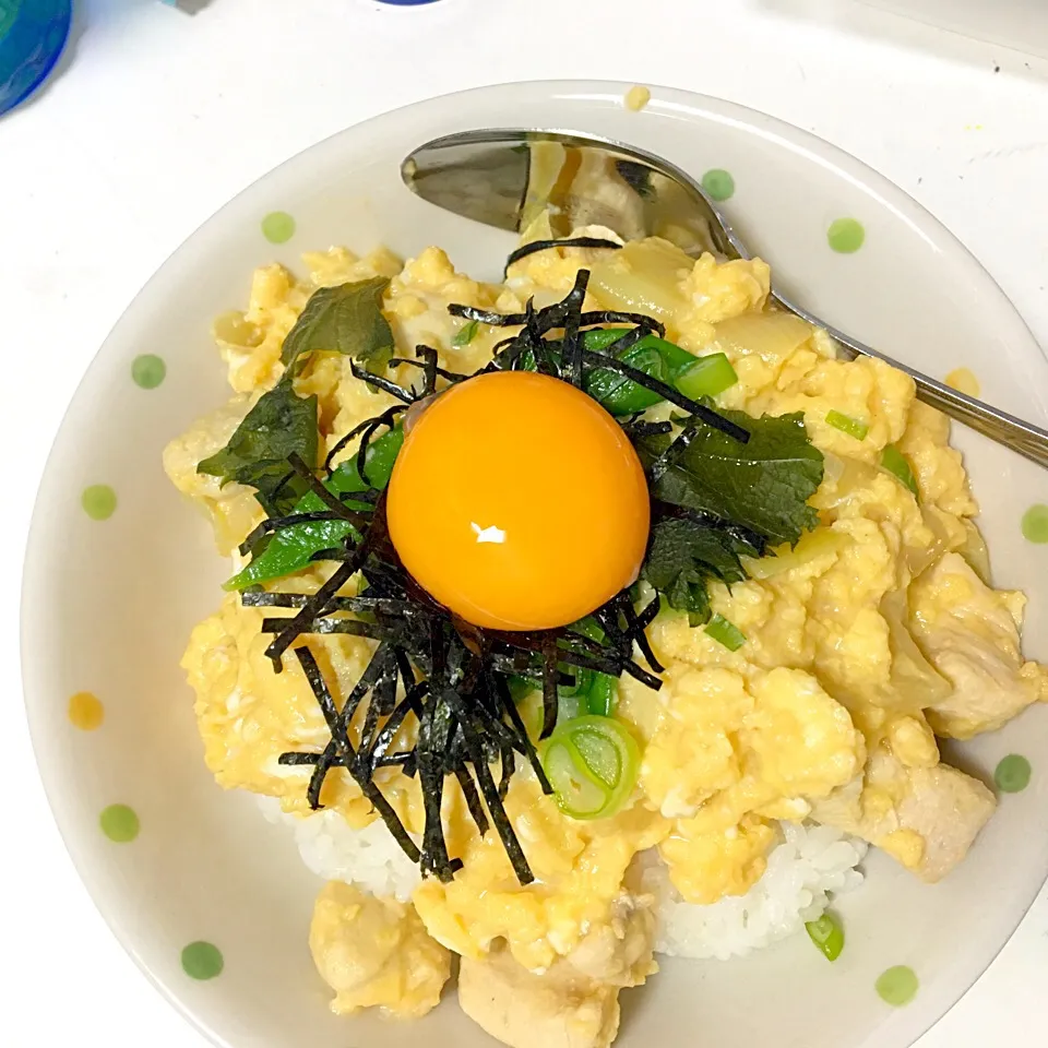 ふわとろ親子丼😀|ゆーきさん