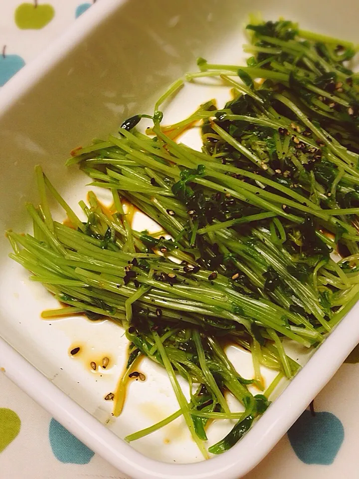 【常備菜】豆苗のおひたし|Megumi Gotoさん