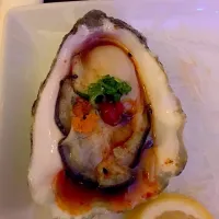 Raw oysters|danさん