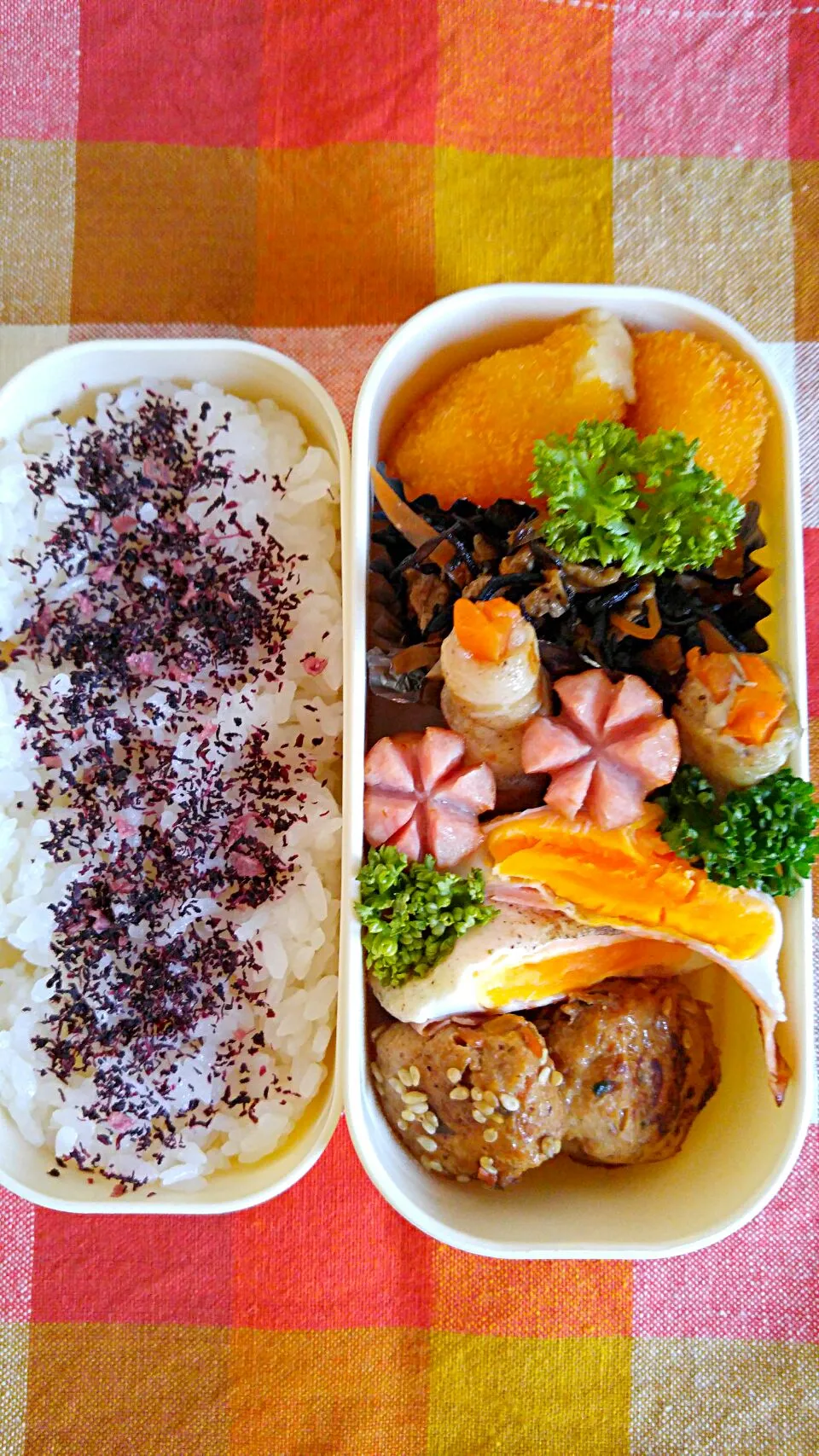 2/19旦那弁当(´∀｀*)|mechikoさん