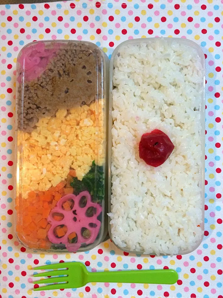 日の丸弁当|hiroko.さん