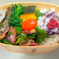 Snapdishの料理写真:青梗菜とハム炒め弁当|はるはるさん