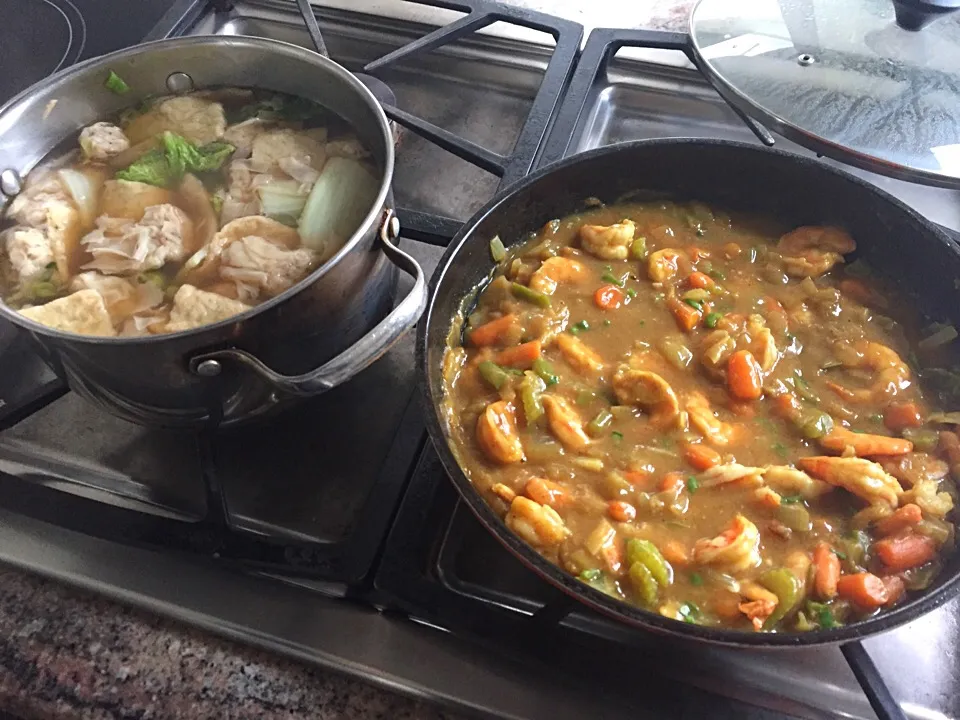 Snapdishの料理写真:Cabbage Wonton Oden + Shrimp Curry (エビカレー)|Phoebeさん