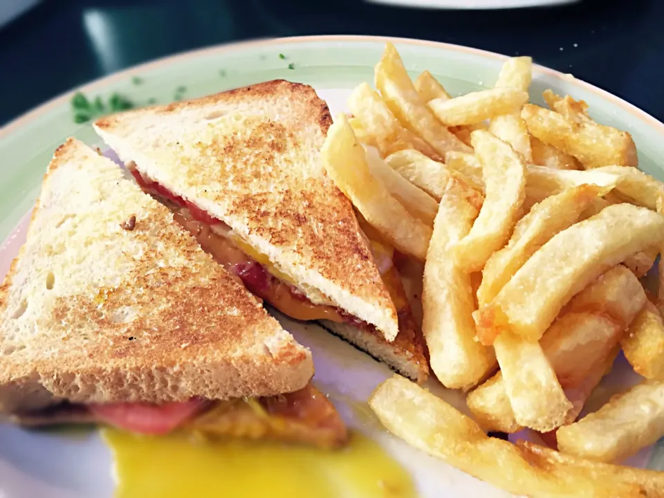 Toasted cheese, egg and tomato with fries|Sergio Lacuevaさん