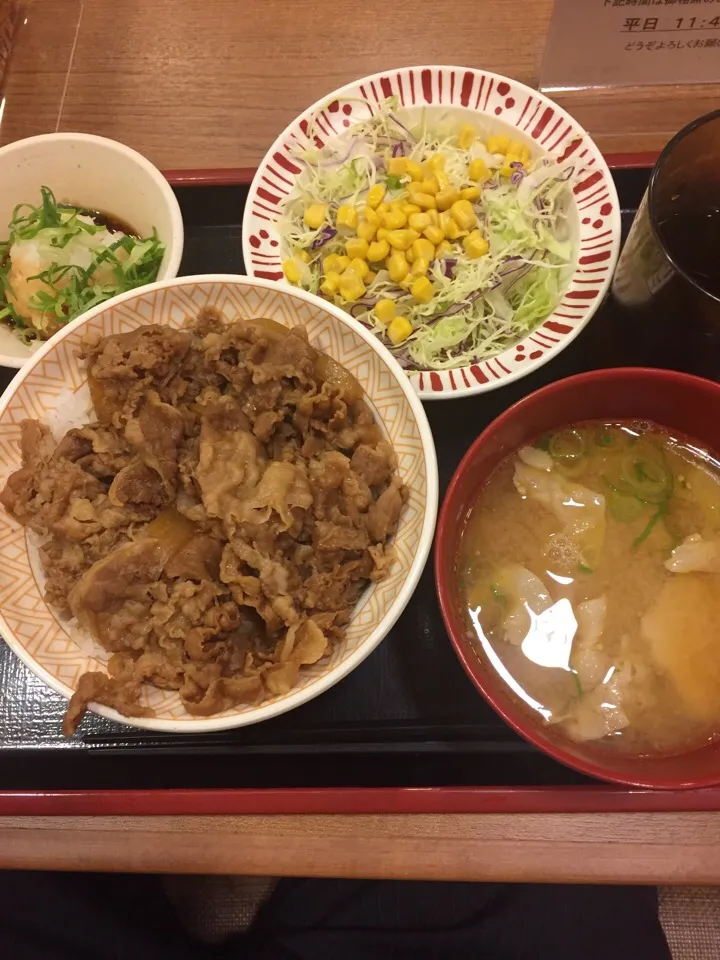 夕飯は牛丼|アクちゃんさん