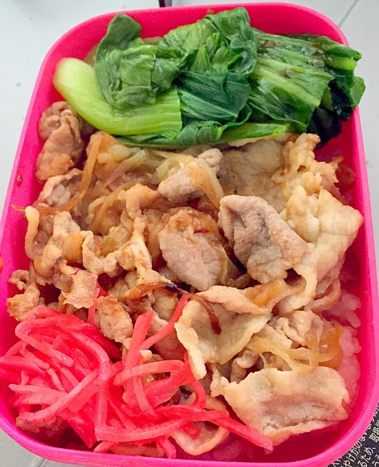 Snapdishの料理写真:甘辛ぶた丼弁当♪|なささん