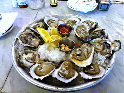 🐚 🌊 OYSTERS 🌊🐚 Superior Seafood in New Orleans Louisiana 🌊🌊🌊
#Seafood #Lunch #Main dish 🌊🌊🌊|Alisha GodsglamGirl Matthewsさん