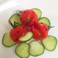 プチトマト🍅
きゅうりを食べるトマト
トマトには歯があった(๑´ڡ`๑)ŧ‹”