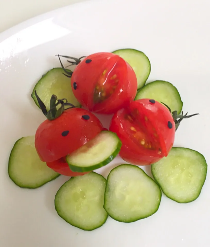 プチトマト🍅
きゅうりを食べるトマト
トマトには歯があった(๑´ڡ`๑)ŧ‹”|ともとも♫さん