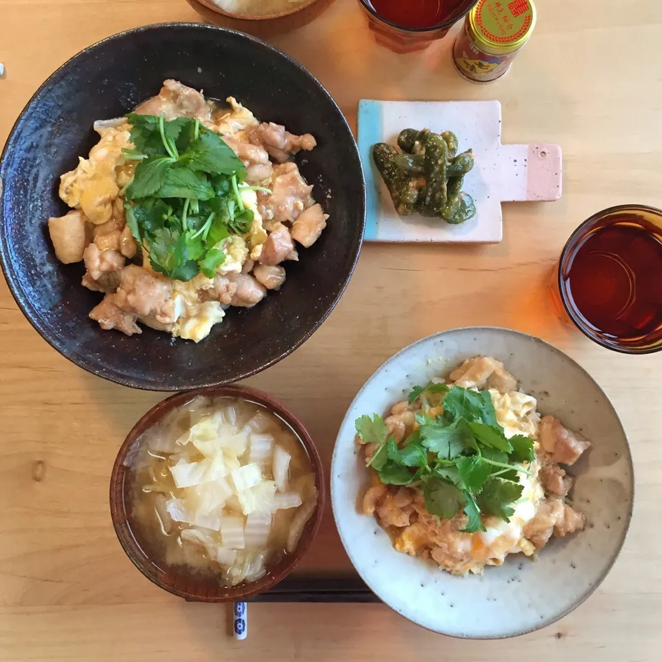 親子丼、白菜味噌汁|maruruさん