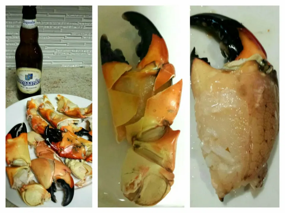 stone crab claws|steven z.y.さん