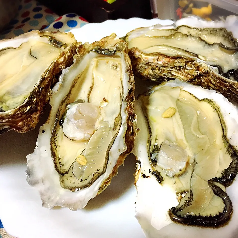 Fresh Oyster|Laarni Nabongさん