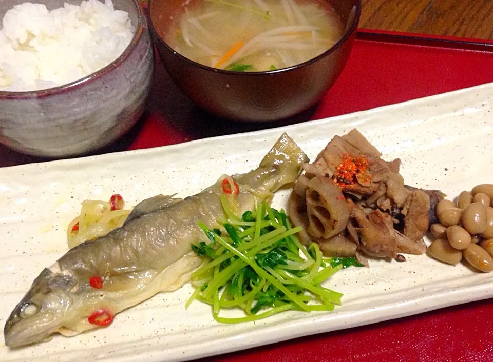 Snapdishの料理写真:単身赴任の晩ごはん  岩魚のマリネ  レンコンの炒め煮  豆苗の芥子和え 煮豆 野菜の味噌汁 白飯|ぽんたさん