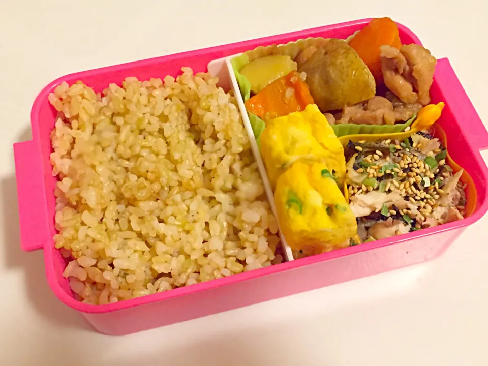 2/22のお弁当|しおり。さん