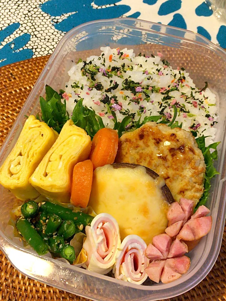 Snapdishの料理写真:豆腐ハンバーグ弁当|10HIROさん